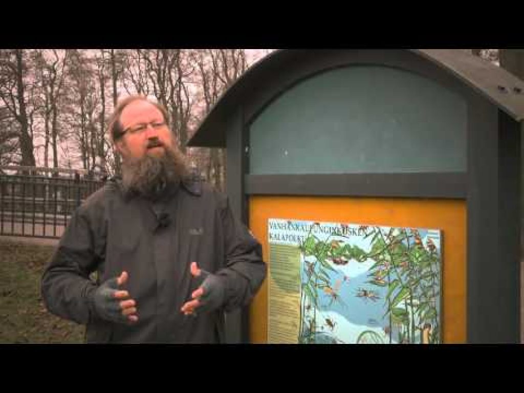 Kalastuksen säätely – Kalastajan vastuut ja velvollisuudet, Jakso 7