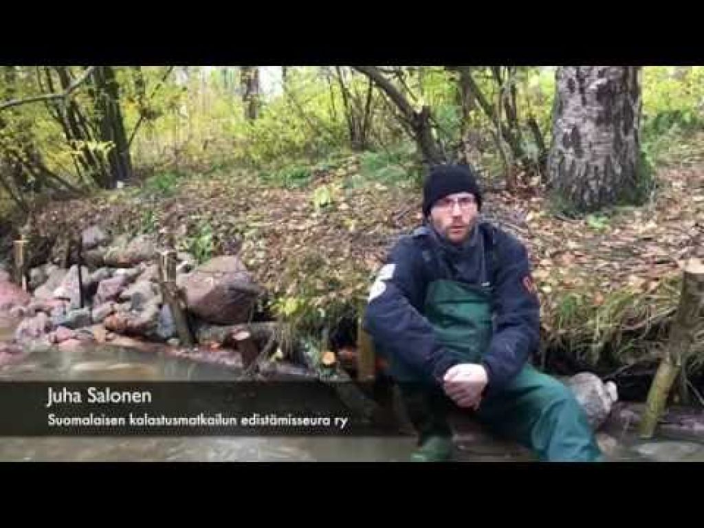 Helsingin Longinoja, osa 2