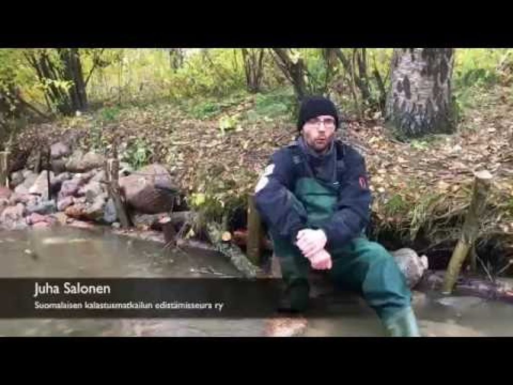 Helsingin Longinoja, osa 3