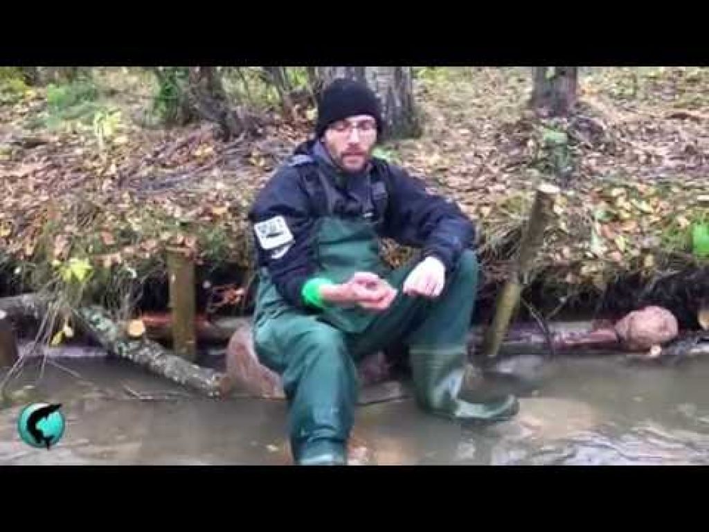 Helsingin Longinoja, osa 1