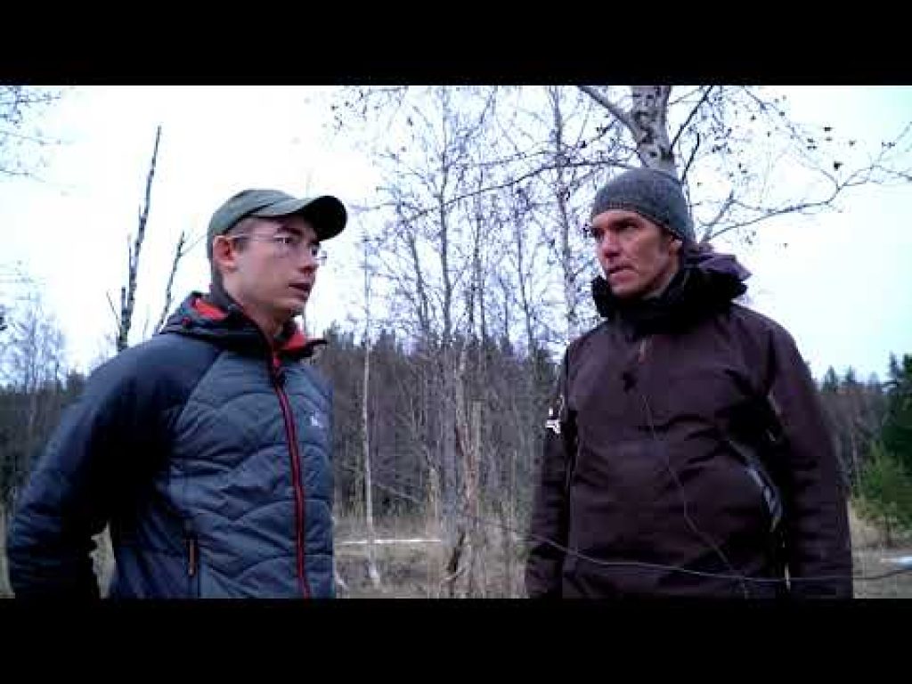 Ahventen ja haukien kutunousun seuranta Raippaluodossa