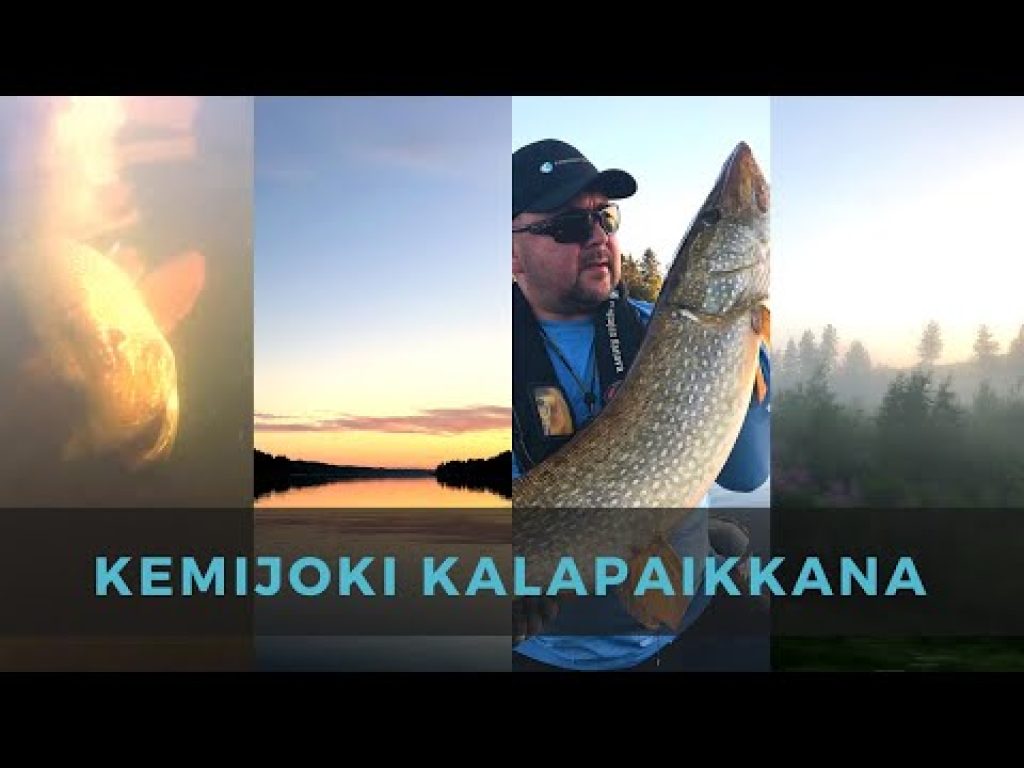 Kalastuspäiväkirja: Kemijoki kalapaikkana