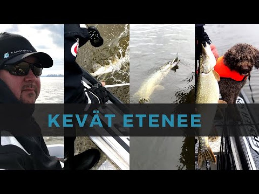 Kalastuspäiväkirja: Kevätkalastus etenee