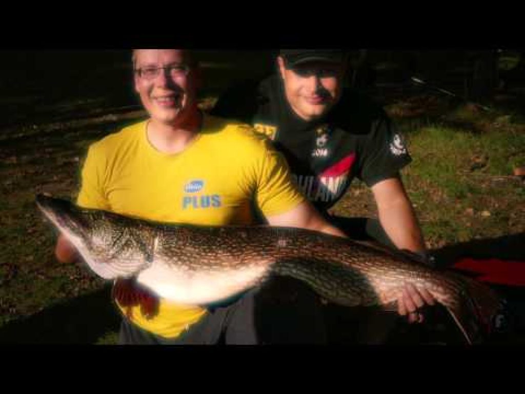 Kalastajan Kanava – Jättihauen vapautus