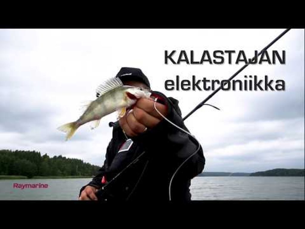 Vetouistelijan elektroniikka