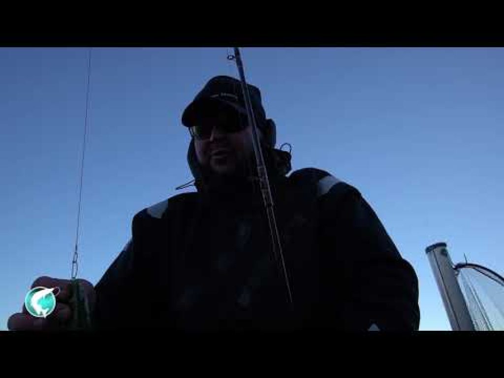 Kuinka virität pehmovieheen takilaan