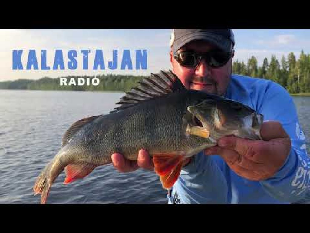 Kalastajan Radio: Kesäinen ahvenen kalastus
