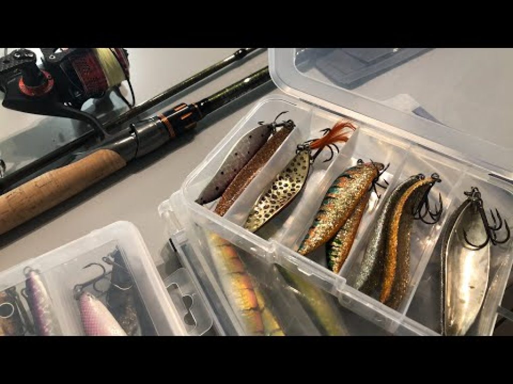 Meritaimenen kalastus – vinkit paikoista, välineistä ja vieheistä