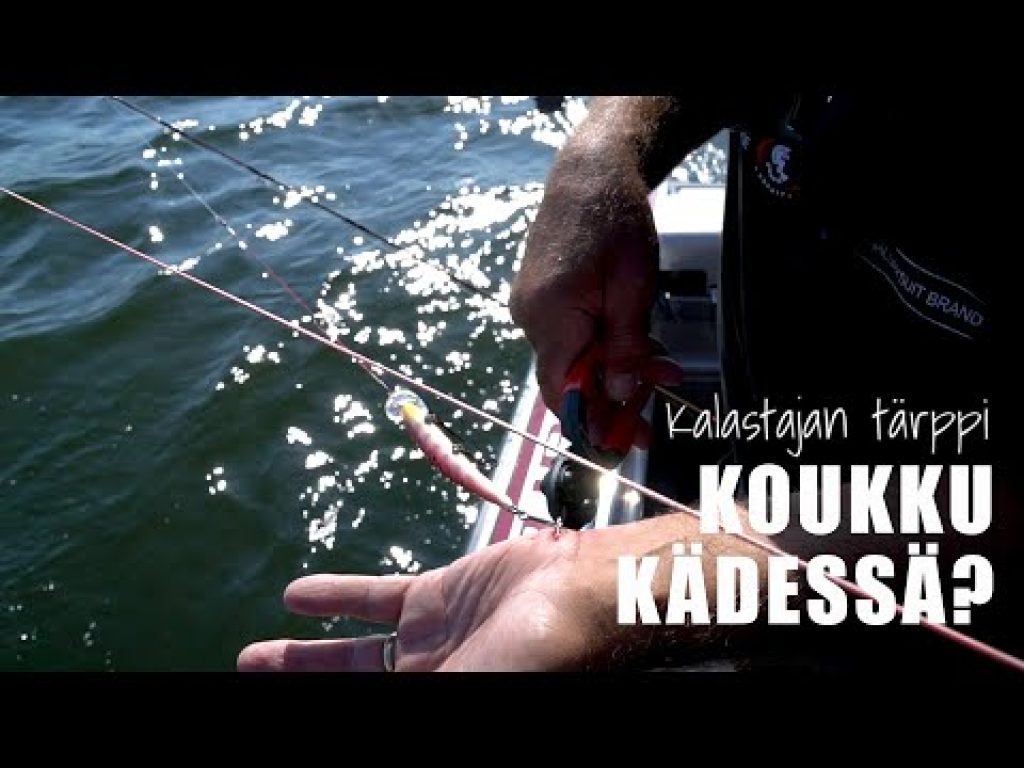 Koukku kädessä? Mitä tehdä? Katso vinkit ohesta!