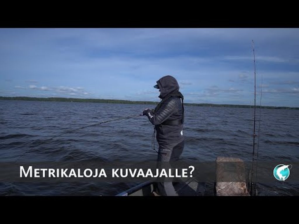 Isoja haukia kuvaajalle?