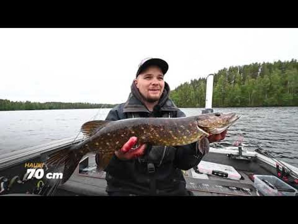 Kisa ratkeaa! | Finaali 3. jakso | #1 Tuntemattomien kalavesien tulkit