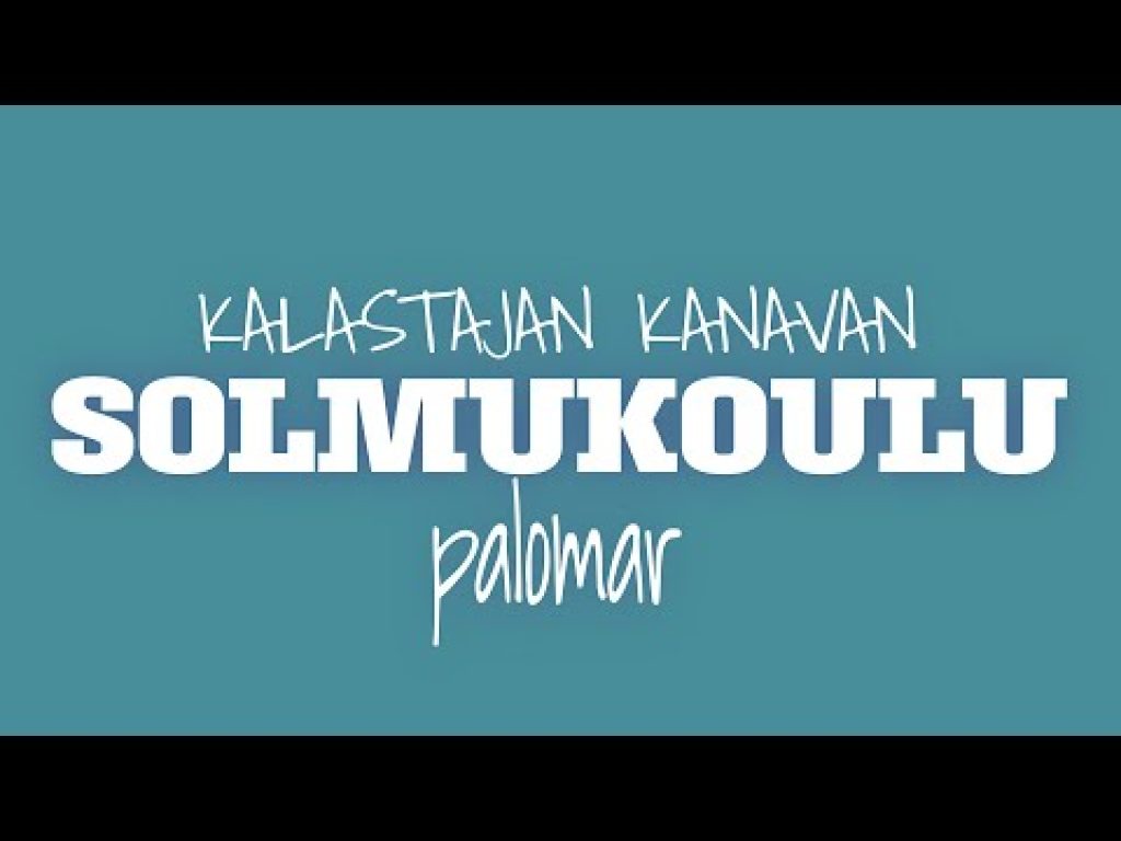 Solmukoulu: Palomar