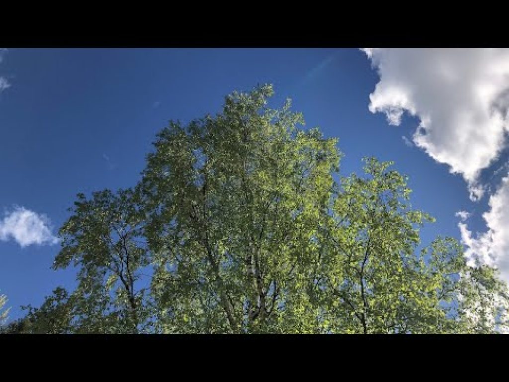 Perjantai-illan LivE: Hyvää Juhannusta