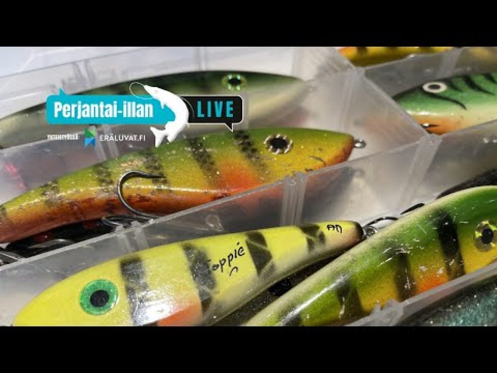 Hauenkalastus 2001 vs. 2021