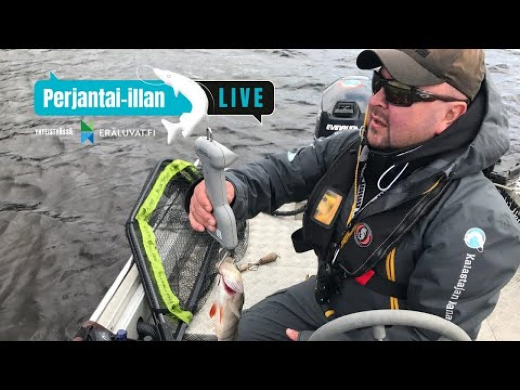 Perjantai-illan LivE: Yleisimmät mokat kalastuksessa
