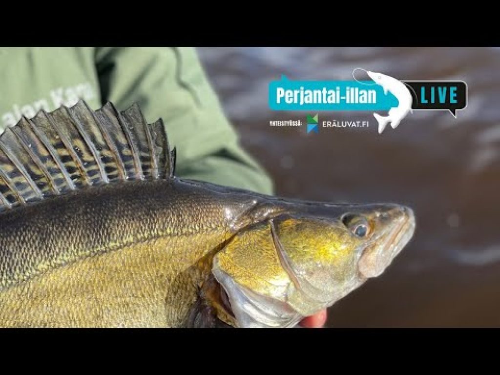 Perjantai-illan LivE: Alkukevään soutuvenekalastus