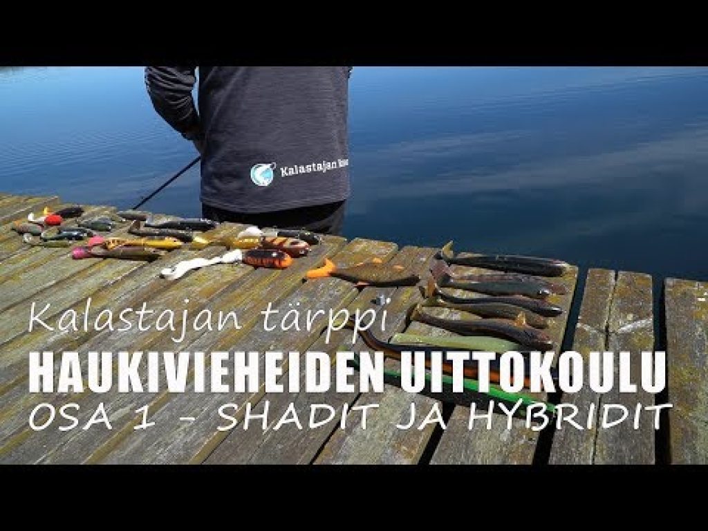 Haukivieheiden Uittokoulu: Kumit ja hybridivieheet