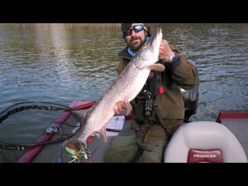 Haukikoulu – Mikeyn kalakoulu, jakso 2