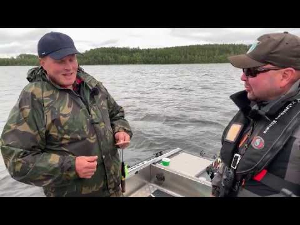 Venepilkinnän perusteet