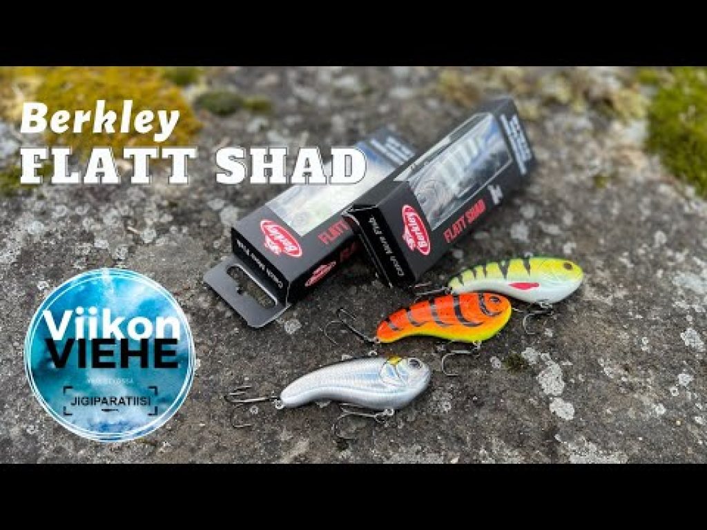 Viikon Viehe: Berkley Flatt Shad
