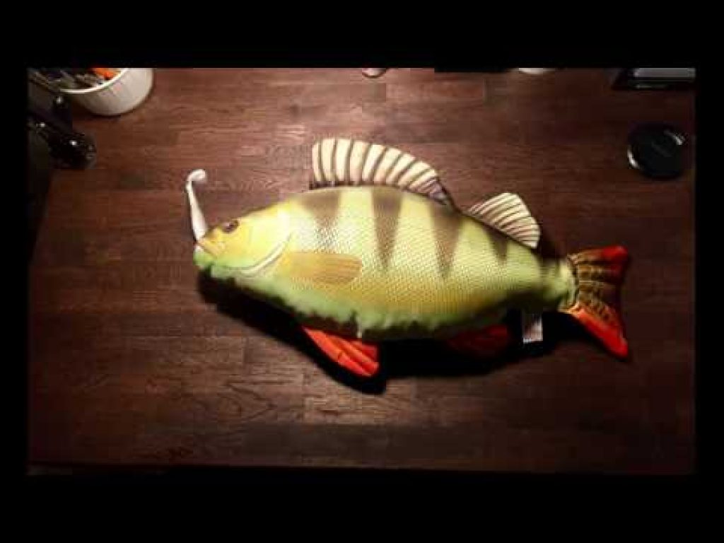 Perjantai-illan LivE: Ahvenjigit