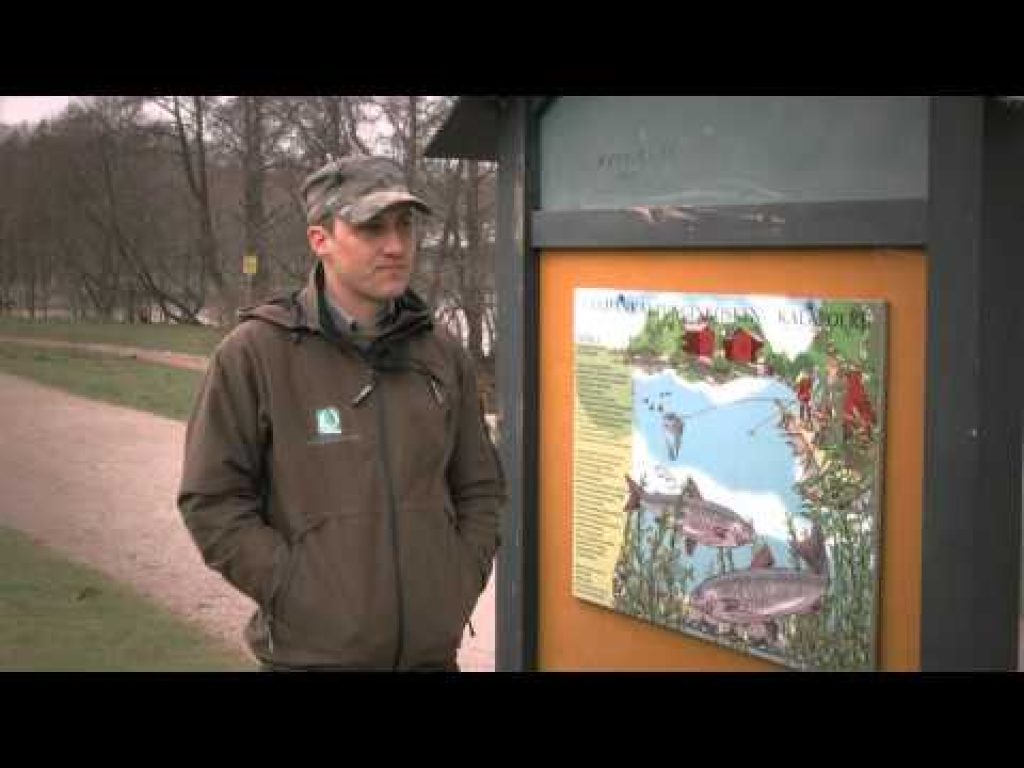 Kalastonhoitomaksu – Kalastajan vastuut ja velvollisuudet, Jakso 3