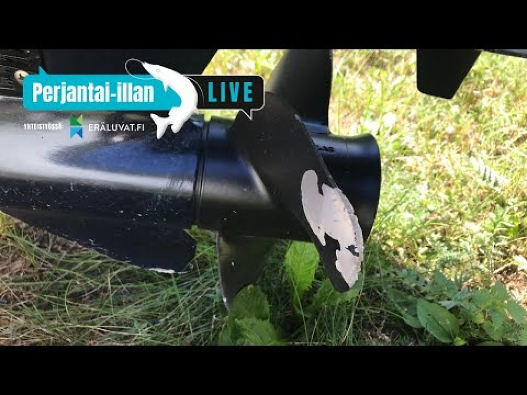 Perjantai-illan LivE: Mikä on huono kalareissu?