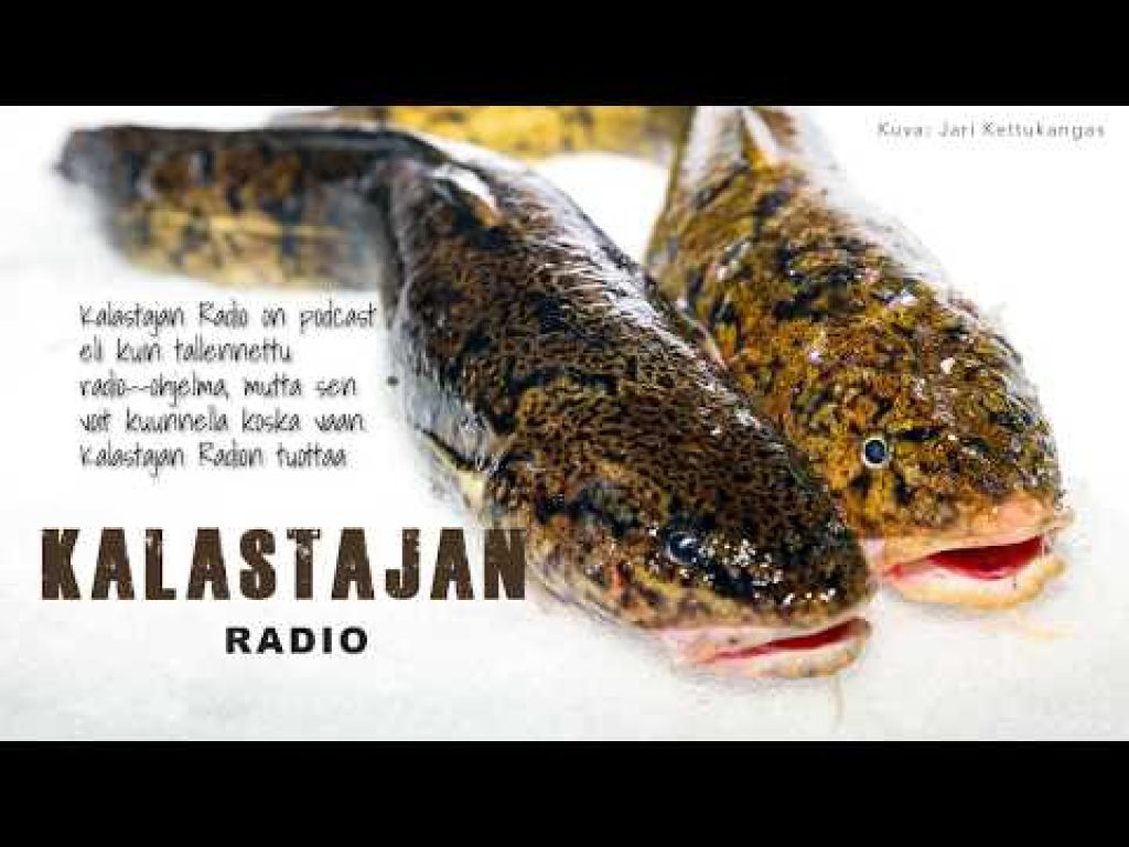 Kalastajan Radio: Talvinen mateenpyynti