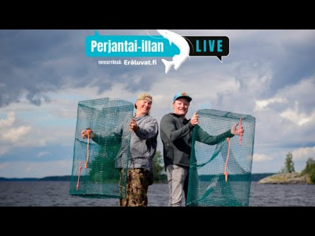 Hissu ja Juha rakentavat norppaturvallisen katiskan | Perjantai-illan LivE