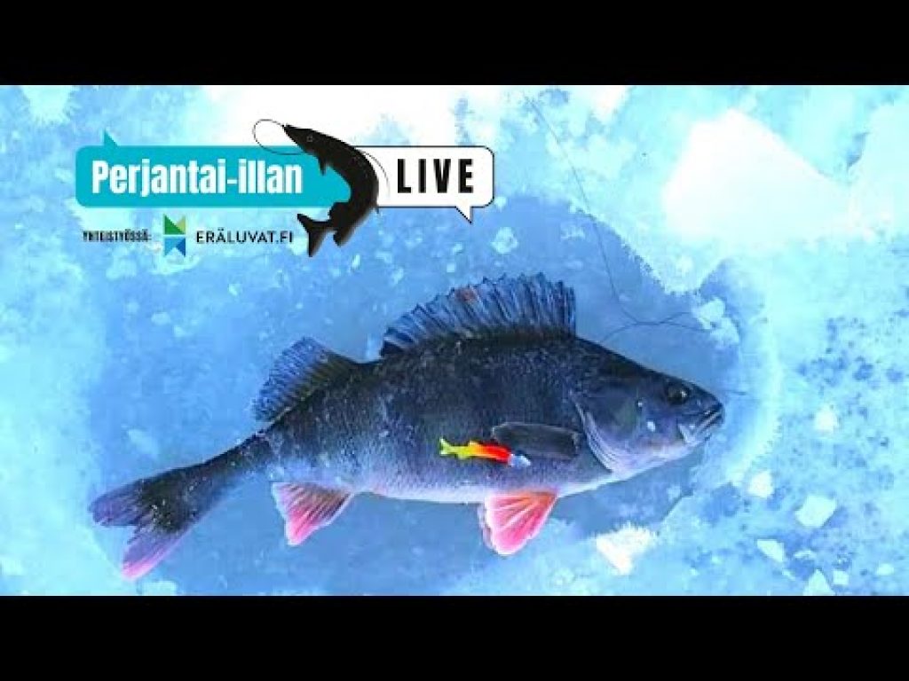 Jigipilkintä – välineet ja tekniikka