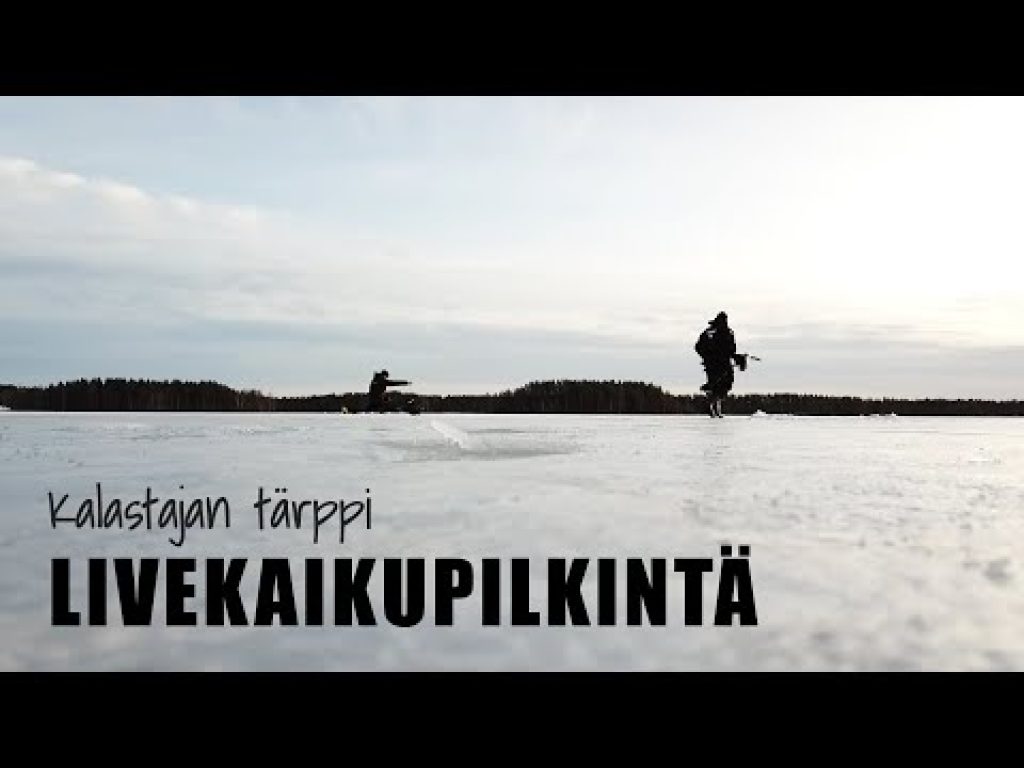 Miten pilkkiä tehokkaammin? Liveluotain pilkillä!