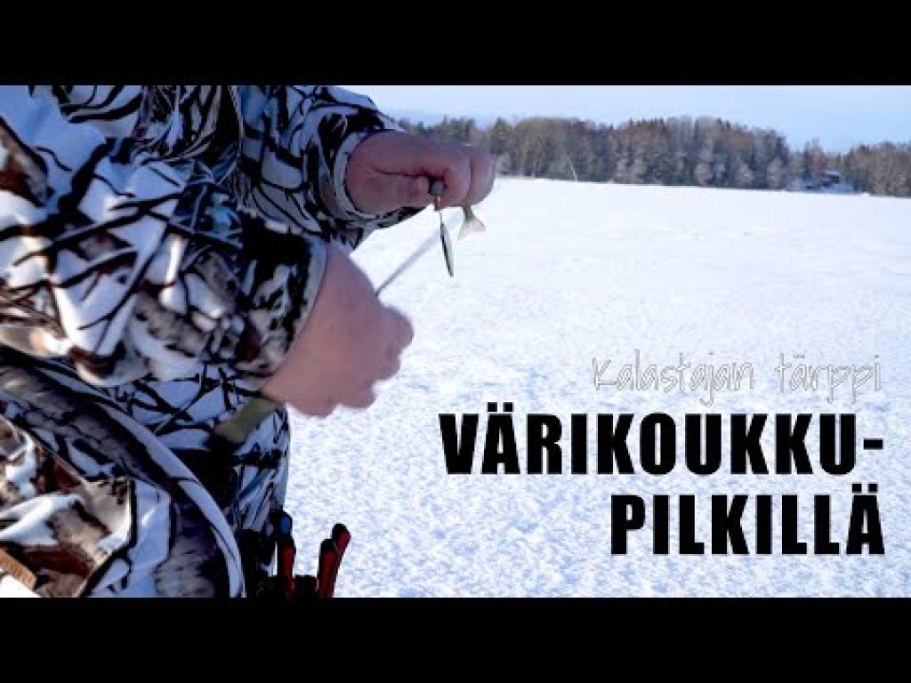 Värikoukkupilkillä