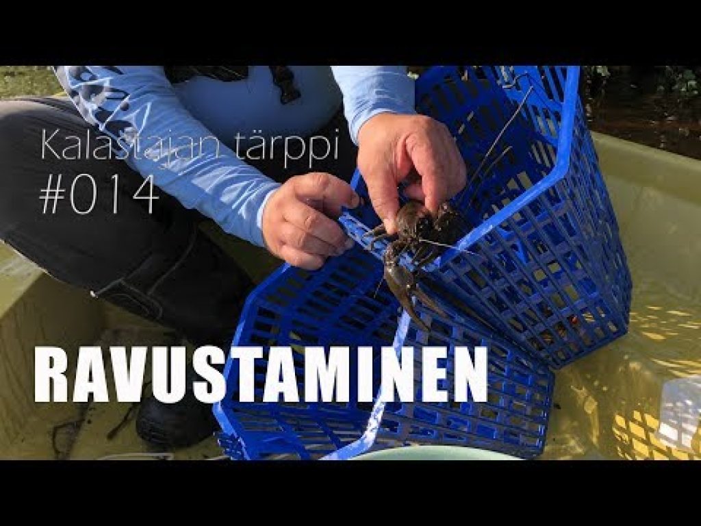 Ravustaminen – vinkit ravustukseen