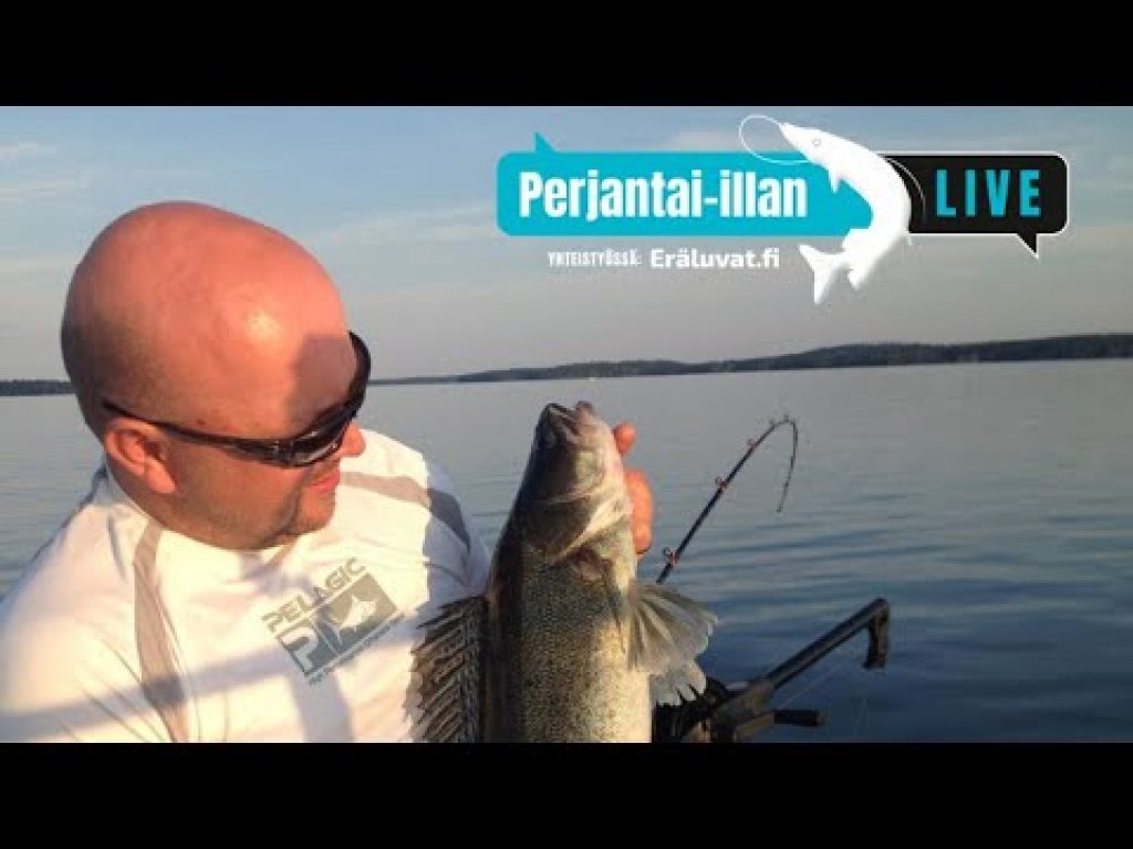 Perjantai-illan LivE: Kohti kesäistä kuhanuistelua