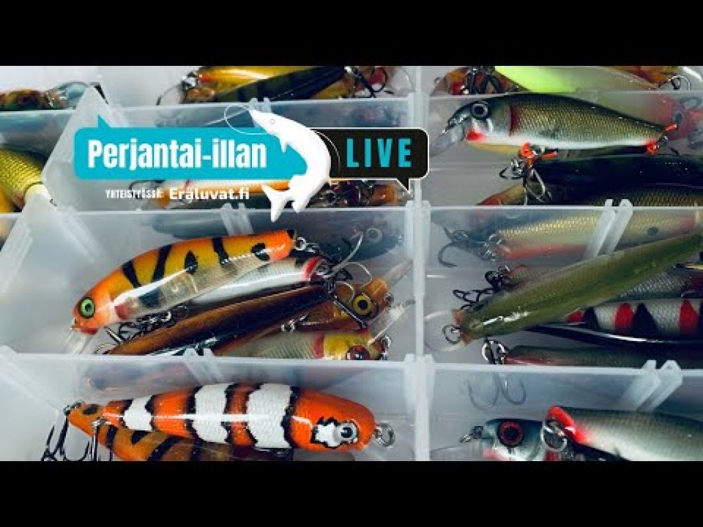 Perjantai-illan LivE: Onko vieheen värillä väliä?