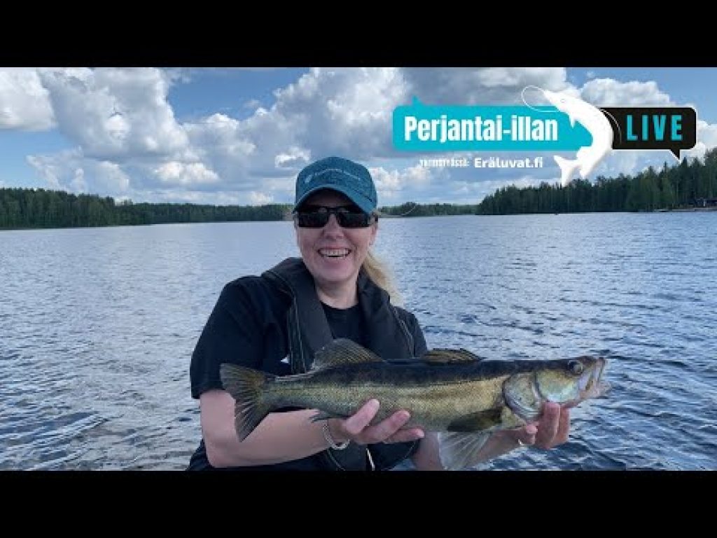 Jigikalastusta rennolla meiningillä ja ruokakalaa