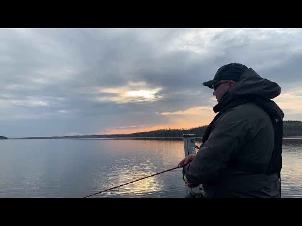 Kuhan jigaamisen perusteet