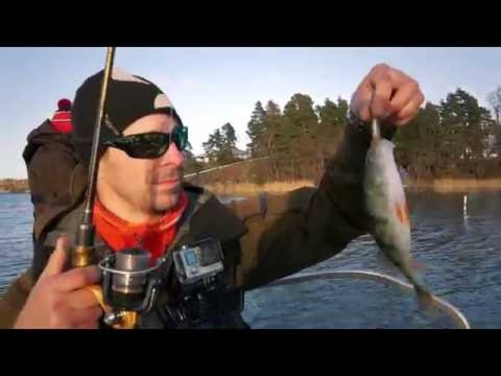 Heittojigaus – Mikeyn kalakoulu, jakso 3