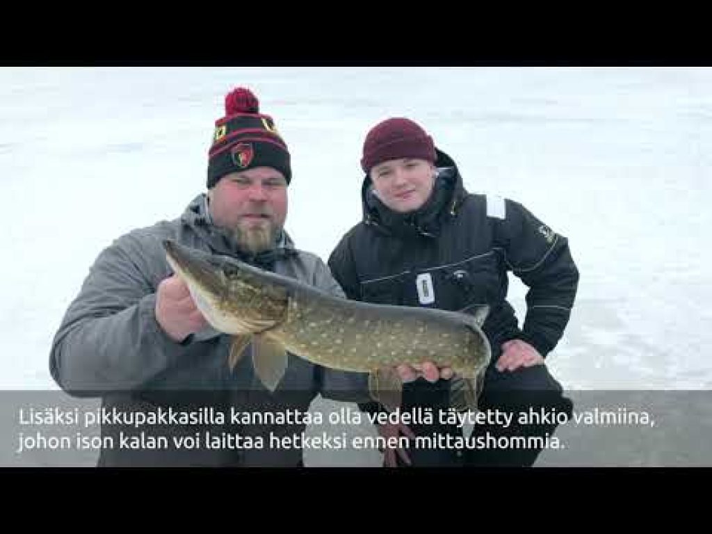 Ismete – kolmen minuutin oppimäärä