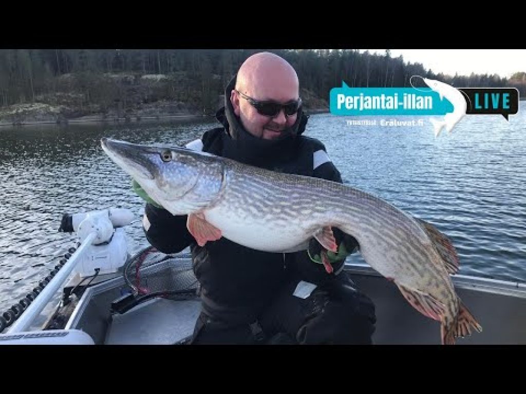 Perjantai-illan LivE: Suurhauen uistelu