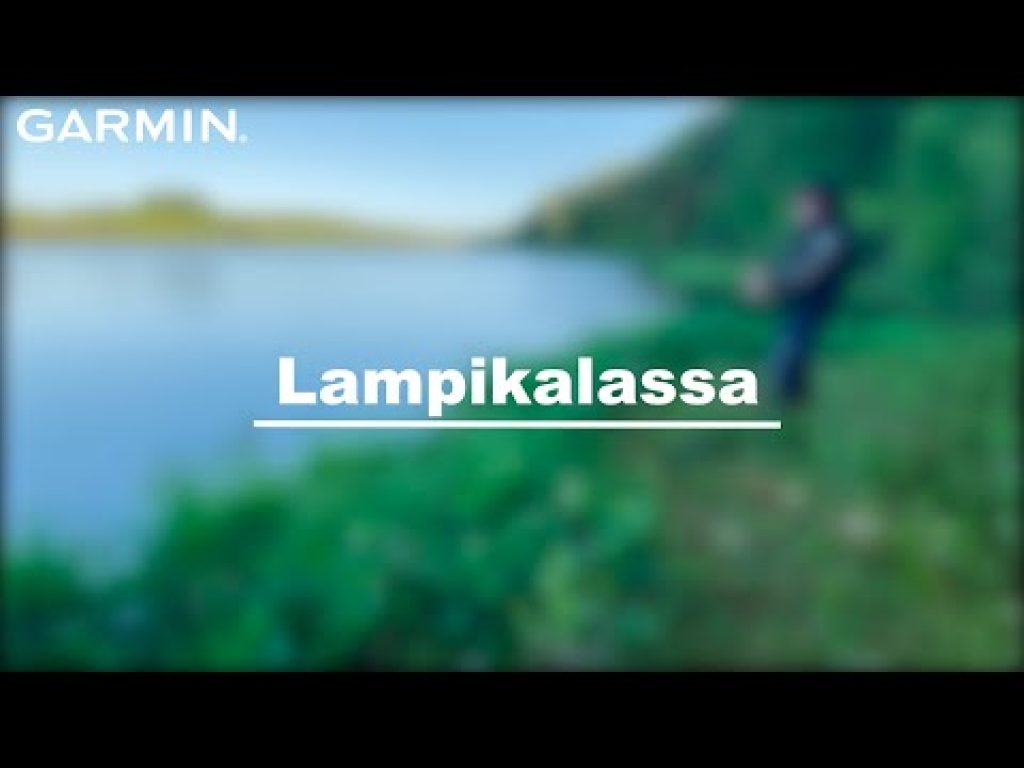 Lampikalassa