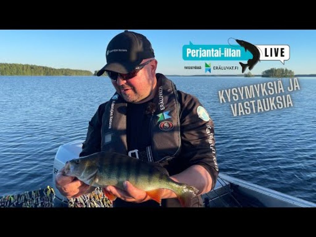Perjantai-illan LivE: Q&A – Kysymyksiä ja vastauksia