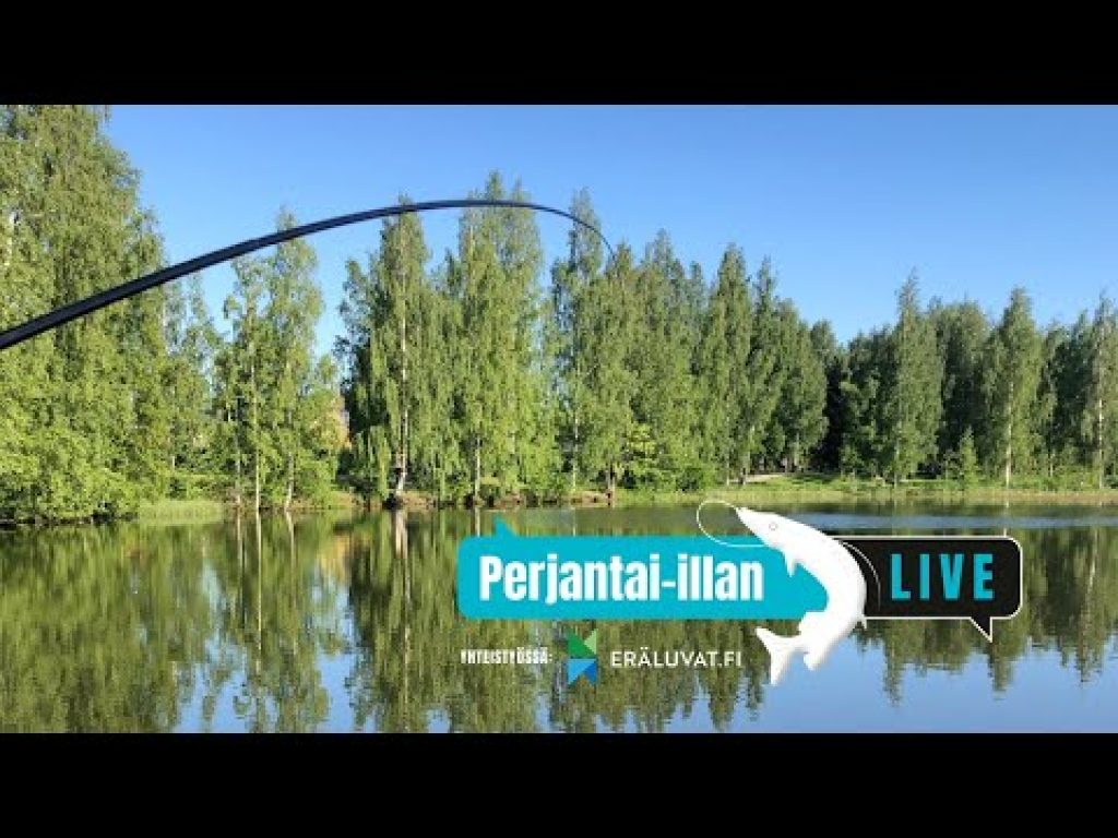 Perjantai-illan LivE: Ahvenia onkimaan