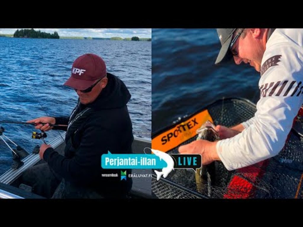 Perjantai-illan LivE: Live-luotaus asiaa