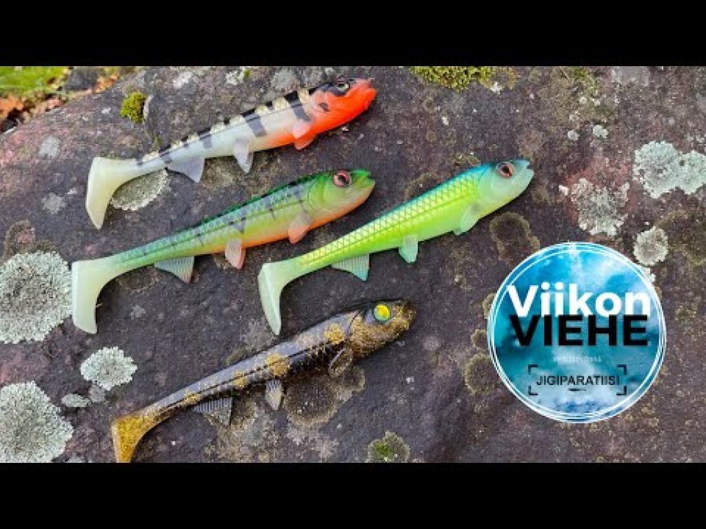 Viikon Viehe: Hostagevalley Shad 22 cm