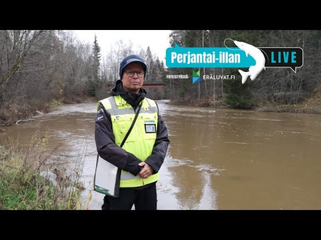 Perjantai-illan LivE: Salakalastus