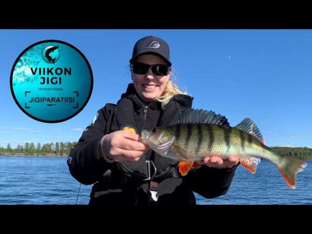 Viikon jigi: Angry Lures