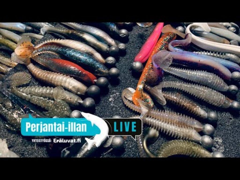 Kauden jigit – hitit, tutut, hutit, uudet ja testatut