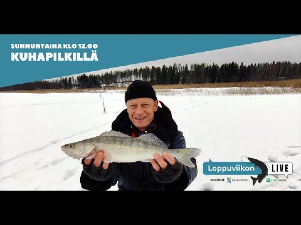 Loppuviikon LivE: Kuhan pilkintää