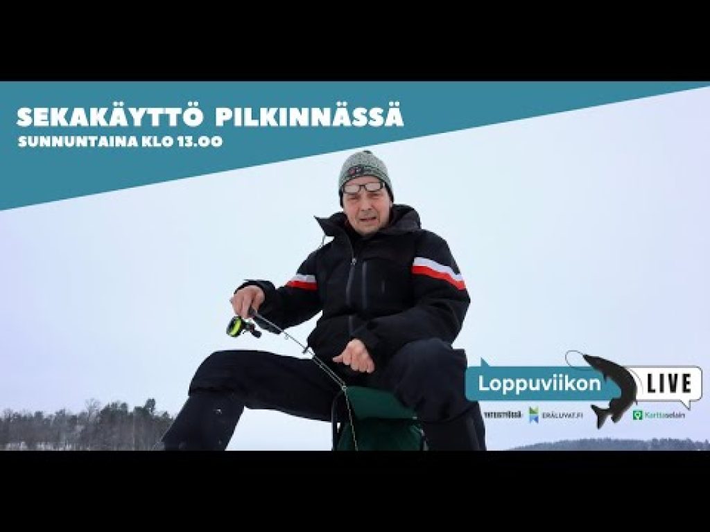 Ahvenen pilkintää eri viehetyypeillä